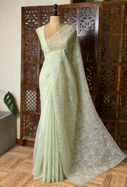 Pastal green turkish organza silk saree- PBR43A2