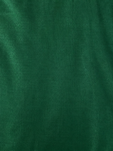 Green Viscose Tissue Silk Saree - PBRATH9