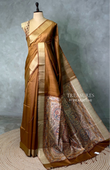 Mustard Yellow silk cotton saree- PBR49M