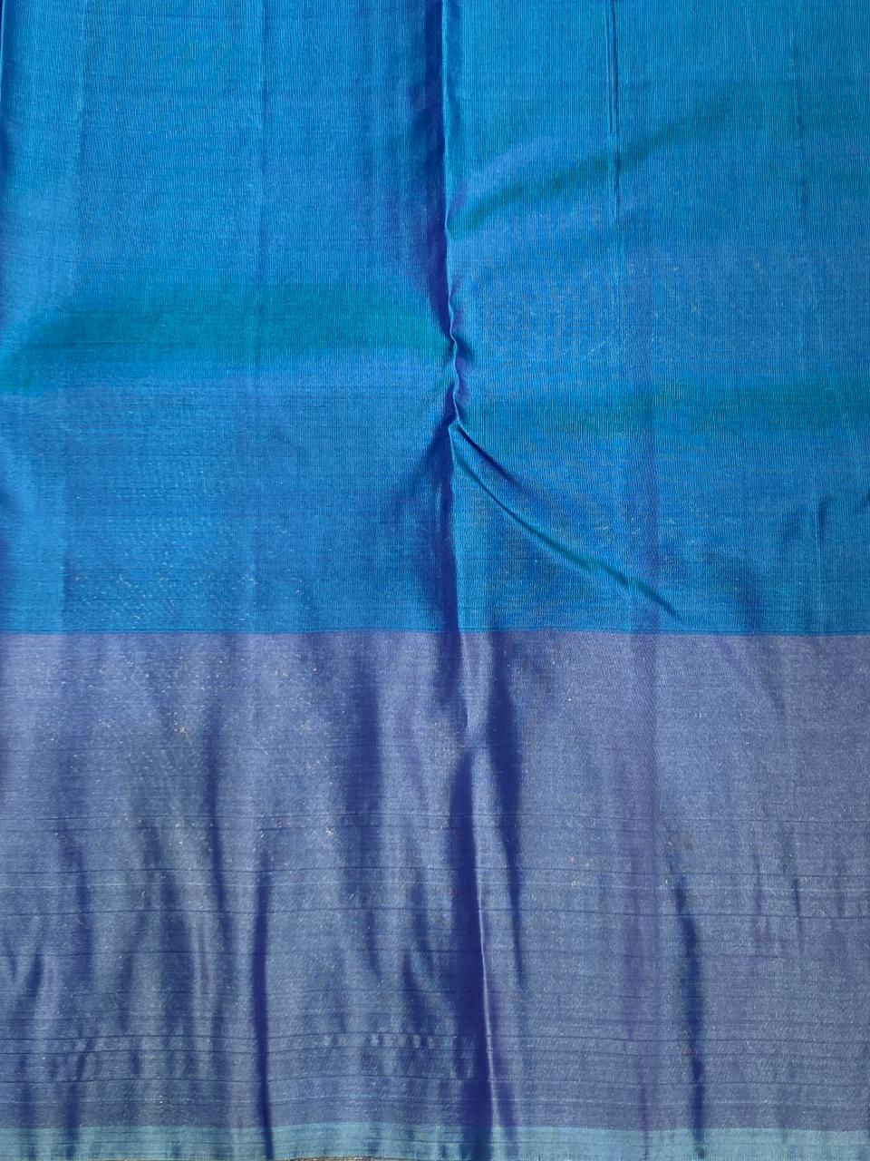 Pink and blue pure organza Kanchipuram Silk saree - PPSILK30