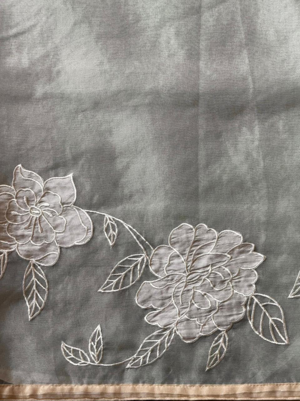 Pure organza Silk saree- PBR37