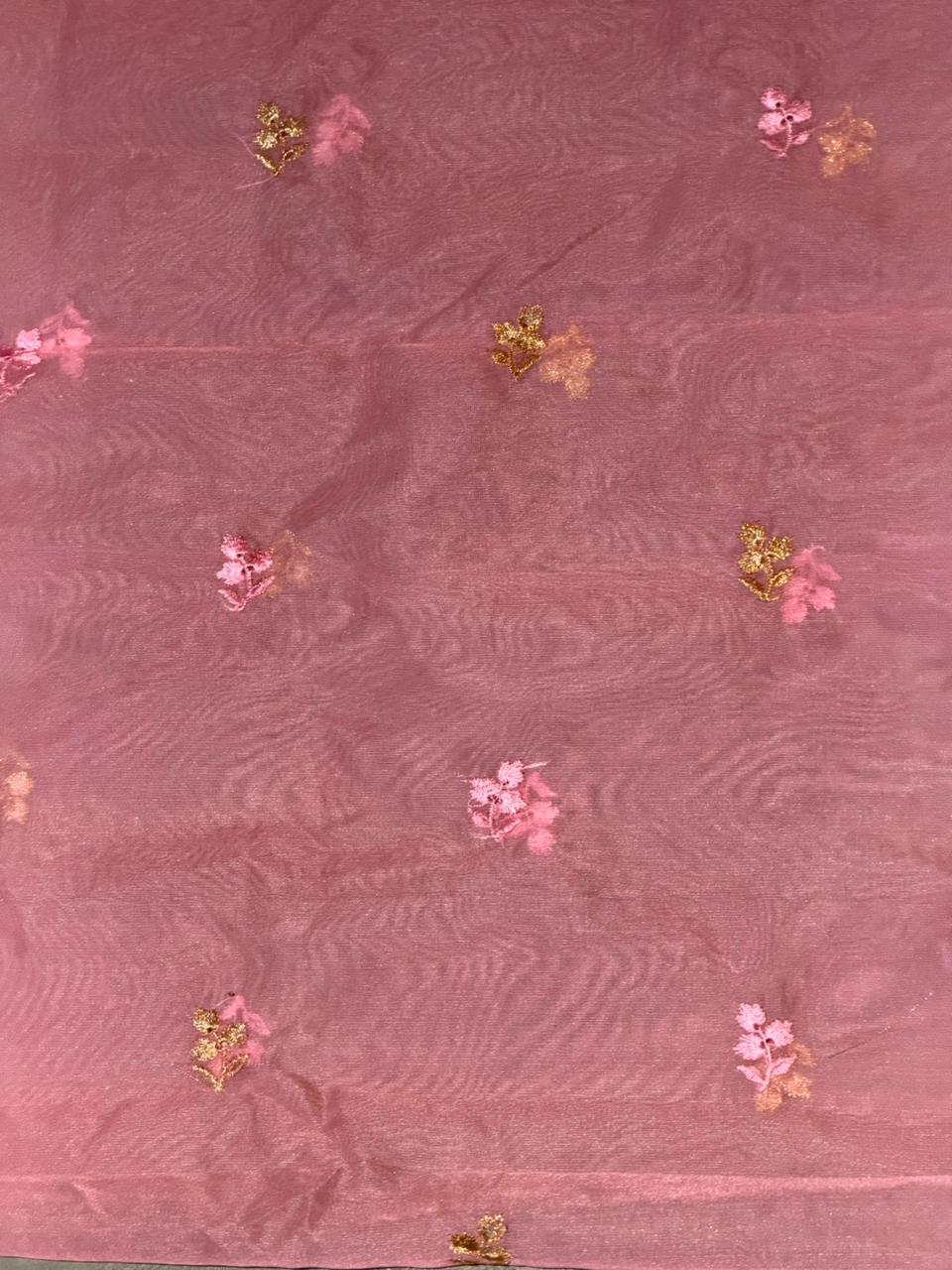 Peach and goldorganza silk saree- PBR43E