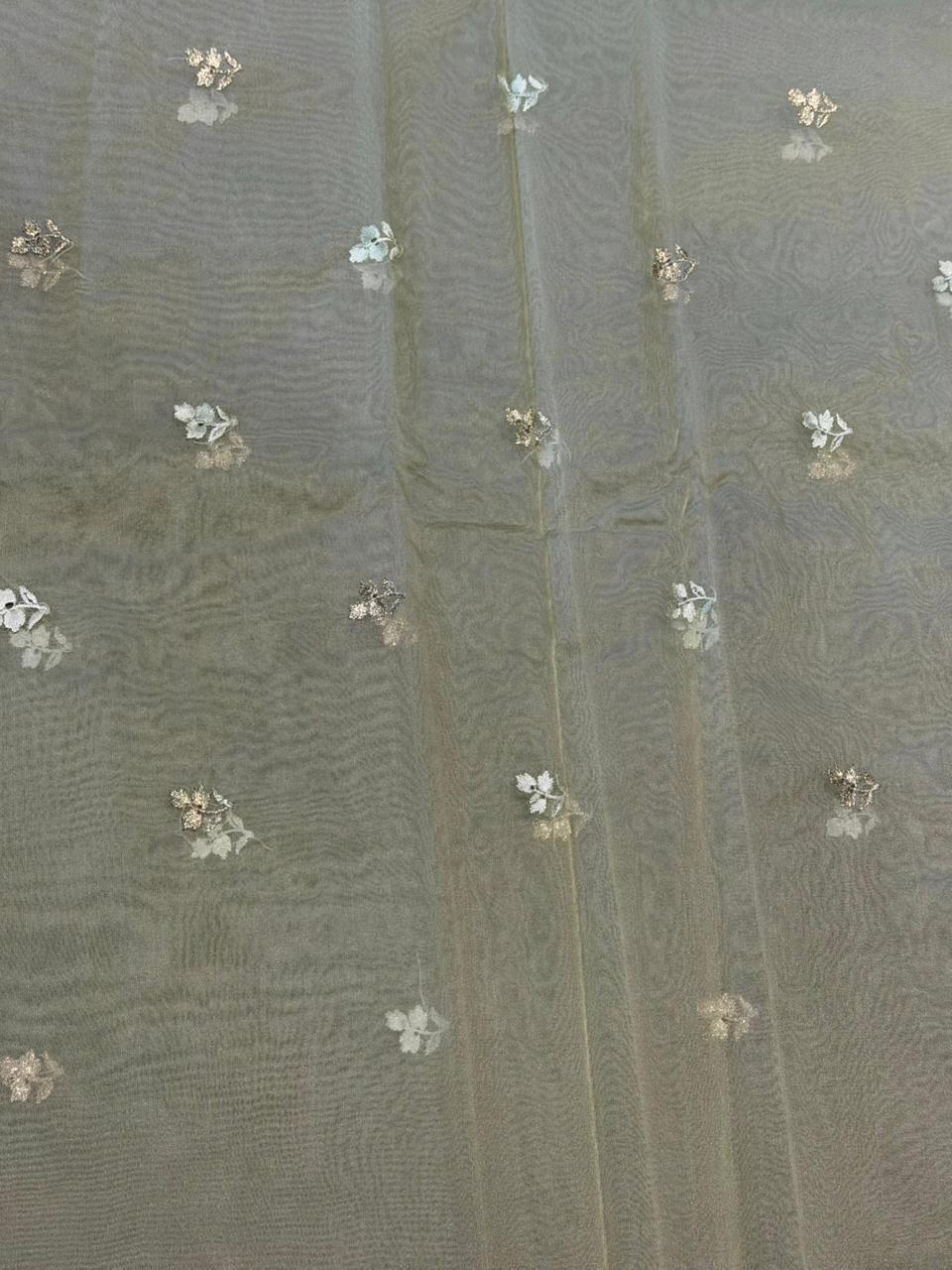 Pastal green organza silk saree- PBR43