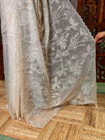 Turkish organza silk saree- PBR43C
