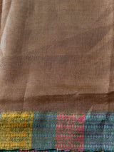 Gold Jute Tissue saree- PBR61B
