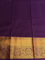 Blue and Purple Semi Kanchipuram Silk Saree PSSRN50
