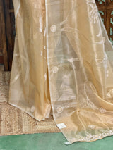 Elegant Tissue silk saree- PBRAR1C