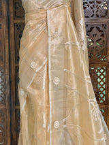 Elegant Tissue silk saree- PBRAR1C