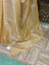 Elegant Tissue silk saree- PBRAR2A