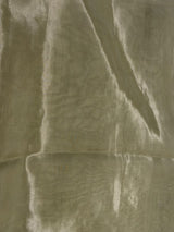 Pastal Green pure Glass organza saree- PBRCHAND3