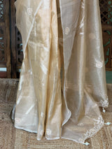Elegant Tissue silk saree- PBRAR1