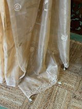 Elegant Tissue silk saree- PBRAR1