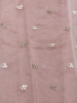 Pastal pink and goldorganza silk saree- PBR43G2