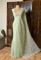 Pastal green turkish organza silk saree- PBR43A2