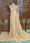Elegant Tissue silk saree- PBRAR1C