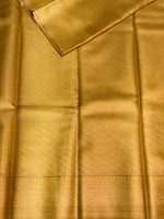 Gold Tissue Kanchipuram Silk saree - PBRIDE8