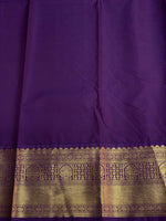 Turquoise Blue and Violet silk saree- PSSR51