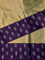 Gold Tissue Banarasi silk saree- AISH4 IH
