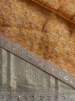 Light Gold Tissue Banarasi silk saree- MPS31