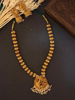 Peacock Grace Haaram- JW83A