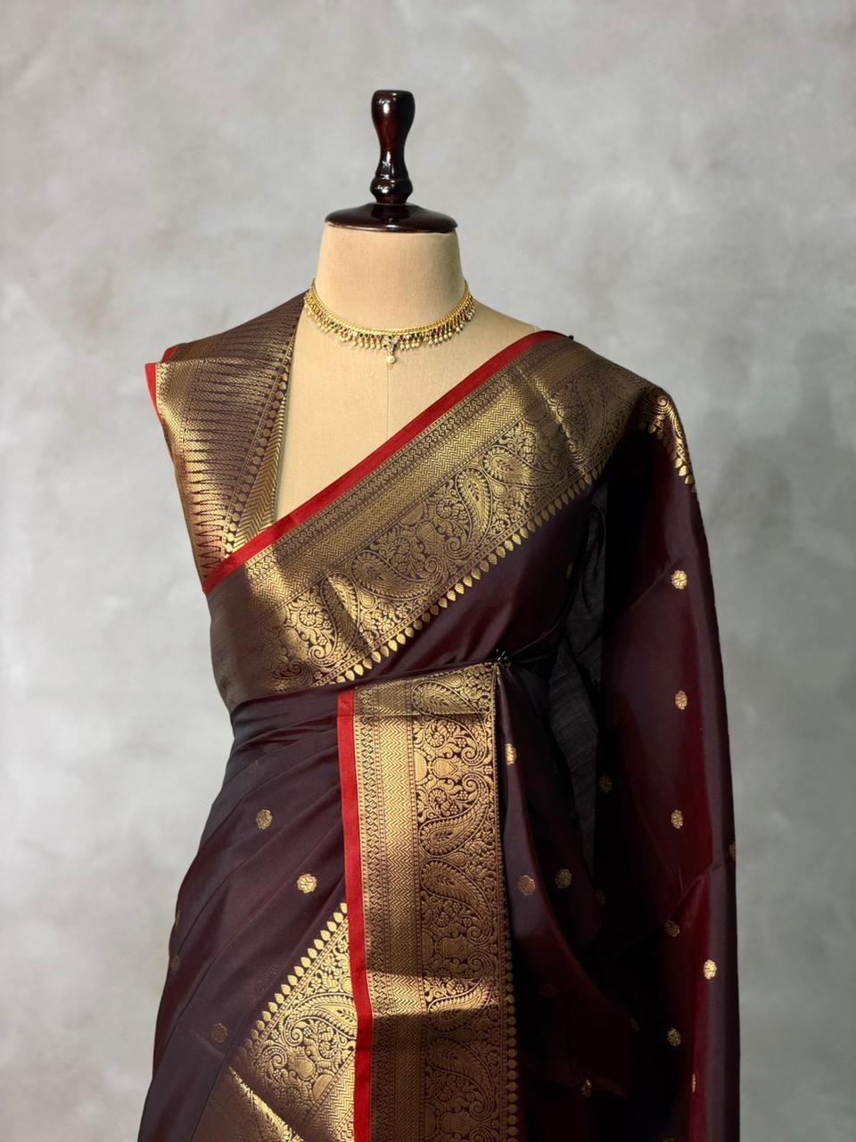 Brown Banarasi silk saree -PIH64