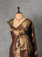 Brown Banarasi silk saree - GAL5A