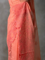 Peach net Kotta saree- PBR33S4