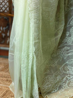 Pastal green organza silk saree- PBR43