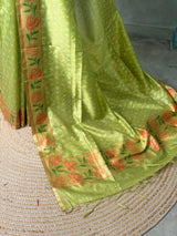Olive Green silk cotton saree- PBR49A