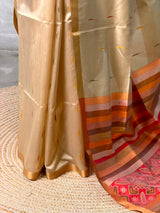 Sandal Chanderi Silk cotton saree- PBR60JE