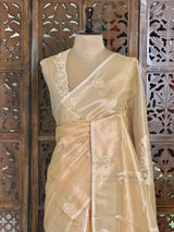 Elegant Tissue silk saree- PBRAR1C