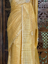 Elegant Tissue silk saree- PBRAR2A