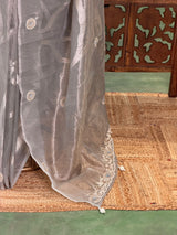 Elegant Tissue silk saree- PBRAR1B