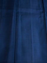 Blue Pure Kanchipuram Silk saree - PPURE134E