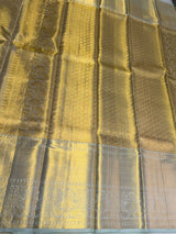 Pastal Blue and gold Pure Tissue Kanchipuram Silk saree - PPURE135