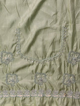Pastal green fendy silk Designer saree- PBRDS5