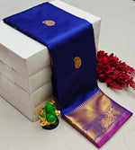 Blue and purple semi Kanchipuram Soft Silk saree - PSSON23